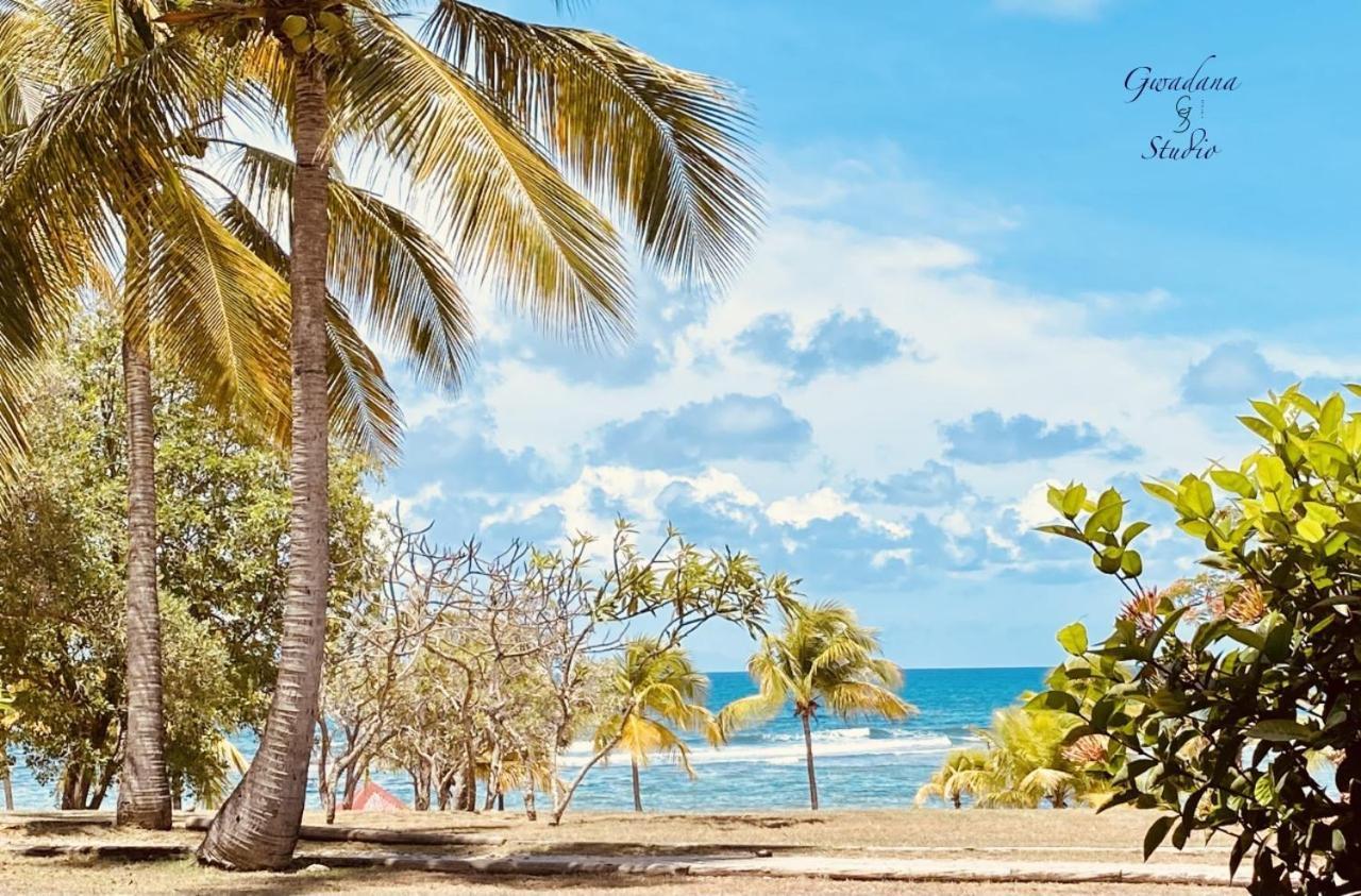 Accès Direct Plage, Magnifique Vue Mer, Gwanada Studio à Pierre et Vacances Sainte-Anne  Extérieur photo